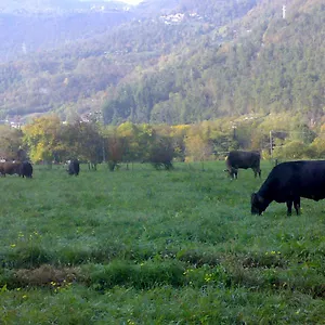 Séjour à la ferme Biobio